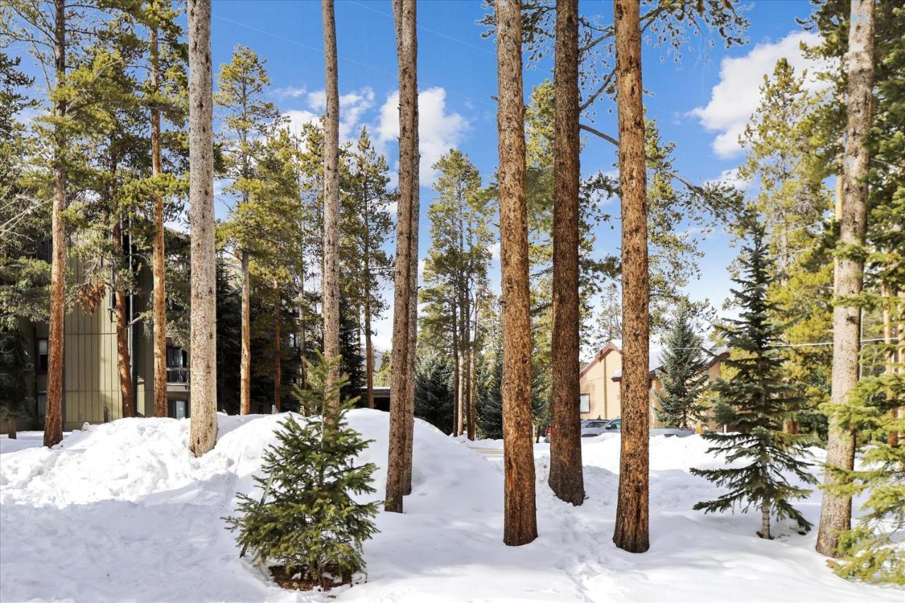 Park Forest Estates Breckenridge Εξωτερικό φωτογραφία